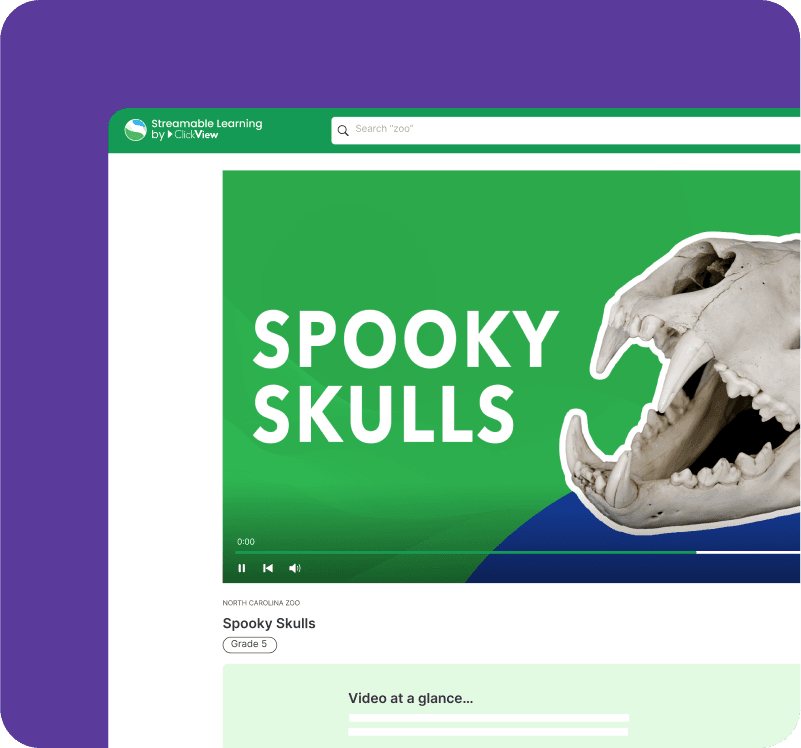 Halloween-themed live streams